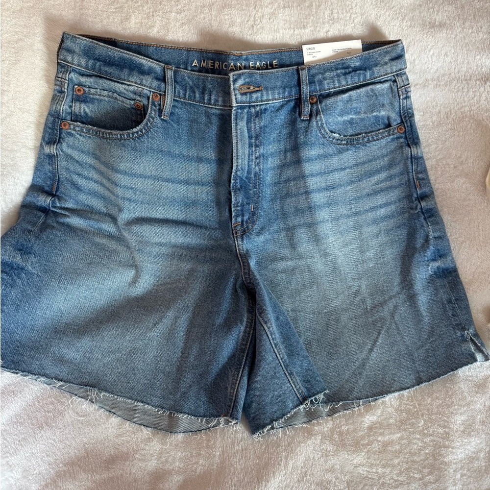 American Eagle Outfitters Women's Faded Blue Denim Shorts